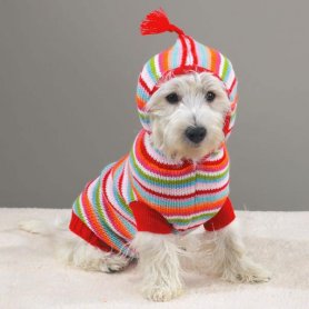 Одежда для собак дёшево - selenitstore.ru