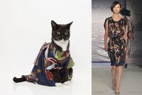 Модная одежда для кошек от United Bamboo - Цветное платье