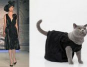 Модная одежда для кошек от United Bamboo - элегантный черный сарафан