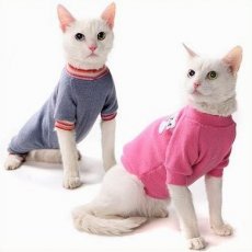 Одежда для кошки