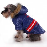 Куртки для Собак