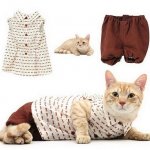 Одежда для Кота
