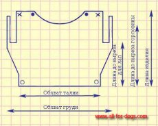выкройка жилета для собаки