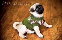 Вязанный свитер для собаки